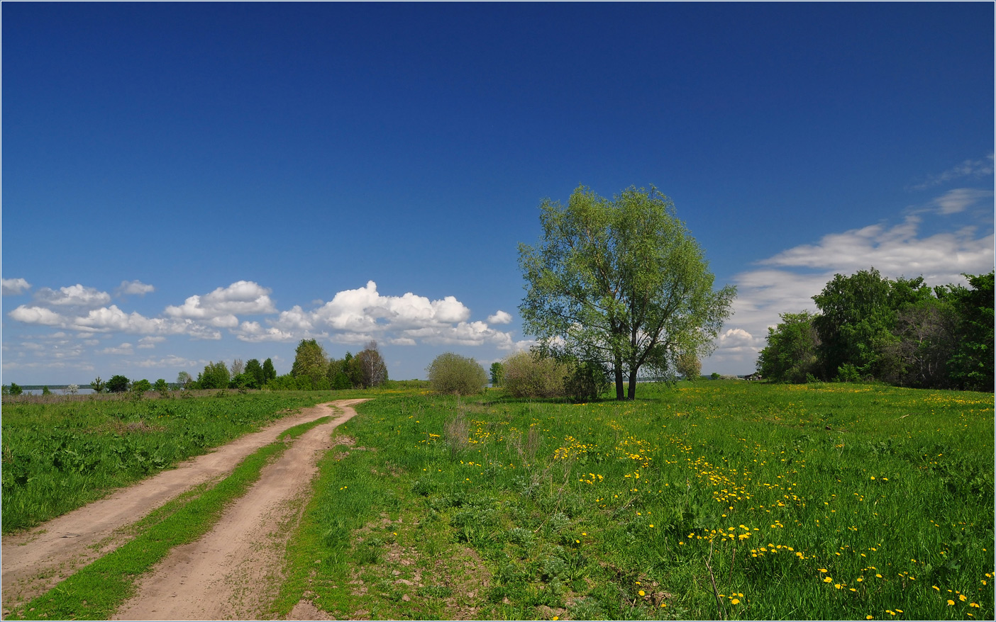 фото "Раздолье" метки: пейзаж, весна, дорога, цветы