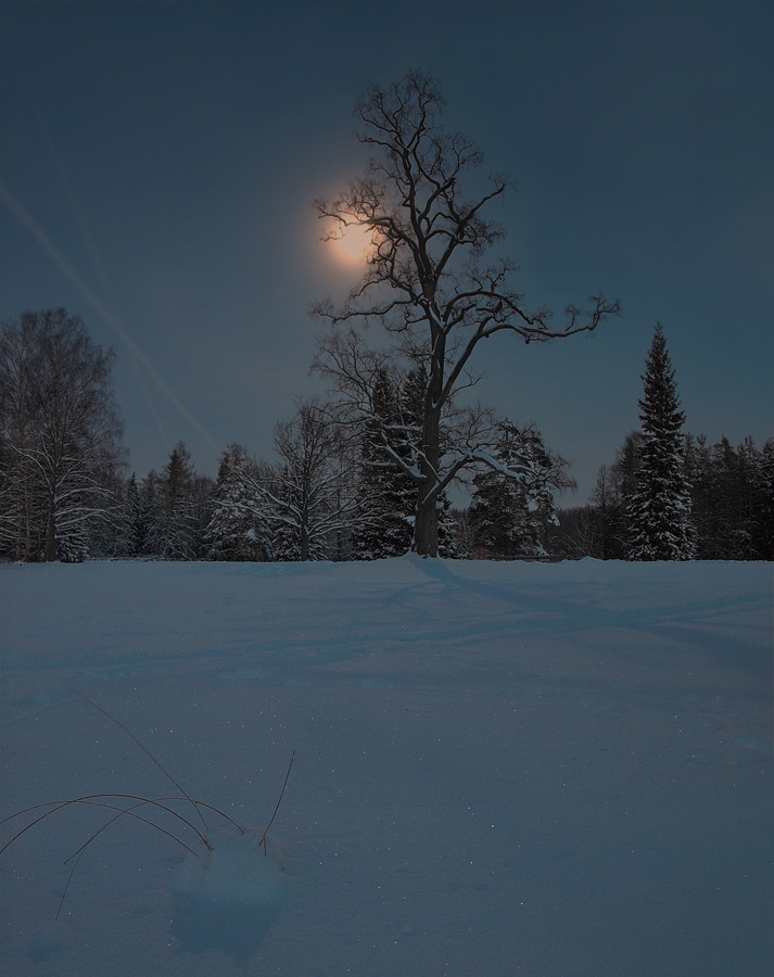 фото "Сумерки" метки: пейзаж, вечер, длинная выдержка, зима, контровой свет, мороз, полнолуние, снег