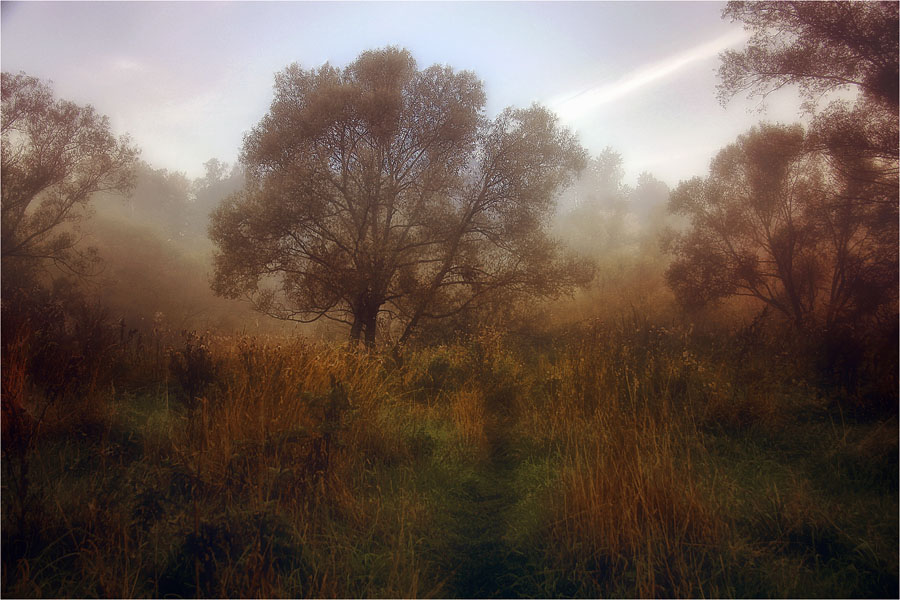 photo "***" tags: landscape, 