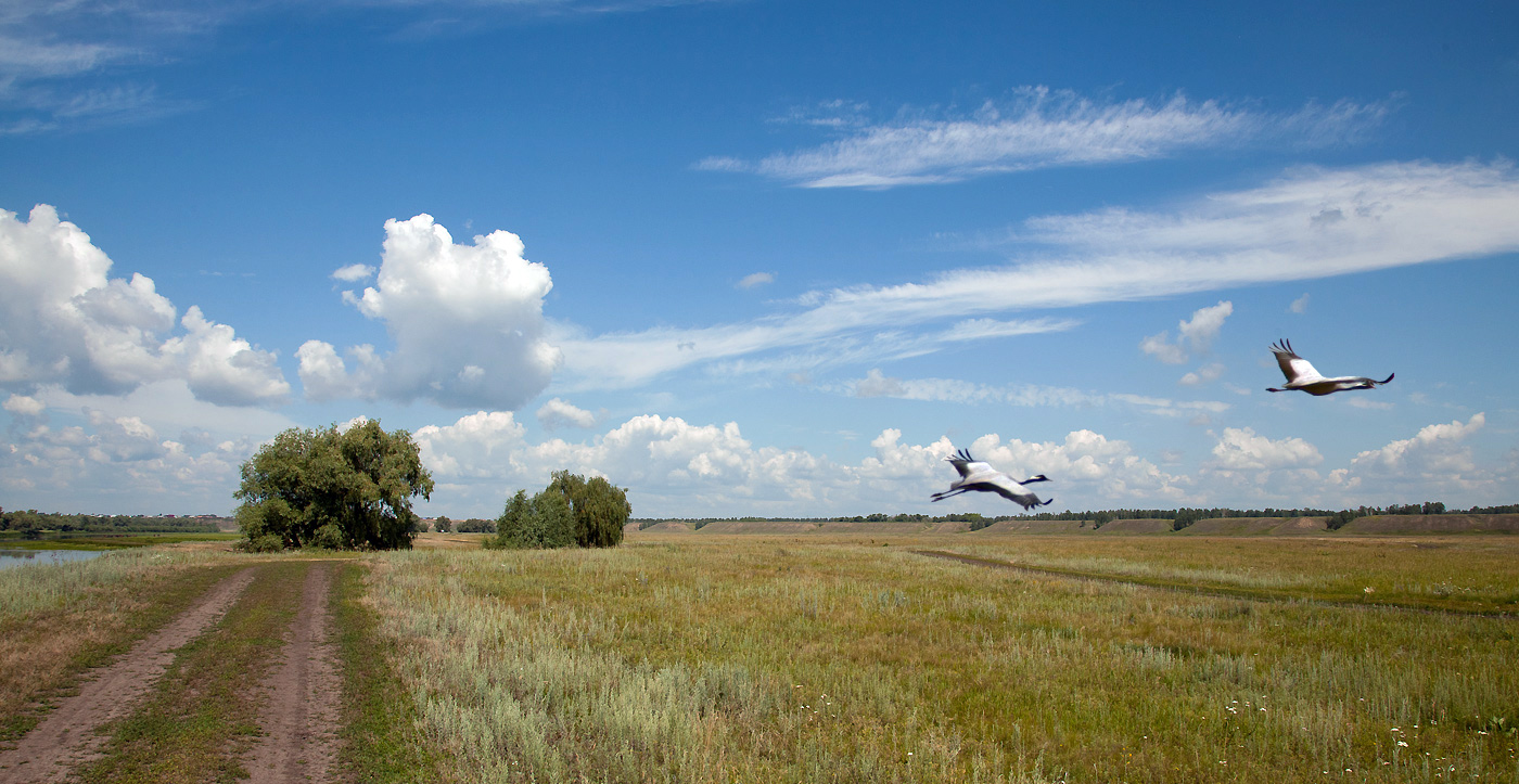 photo "***" tags: landscape, 