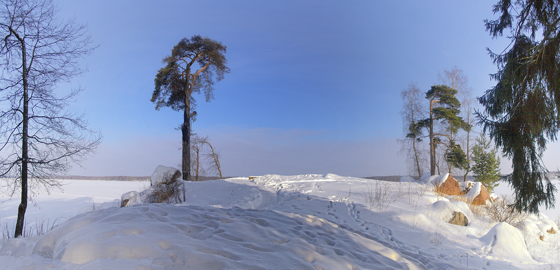 фото "Одинокая сосна" метки: пейзаж, природа, зима