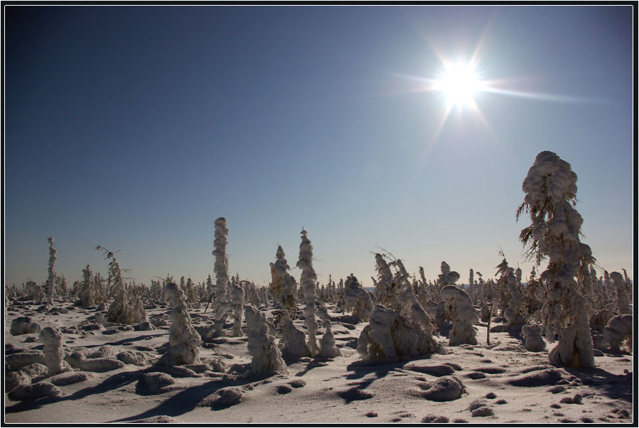photo "***" tags: landscape, winter, Якутия, лесотундра, мороз