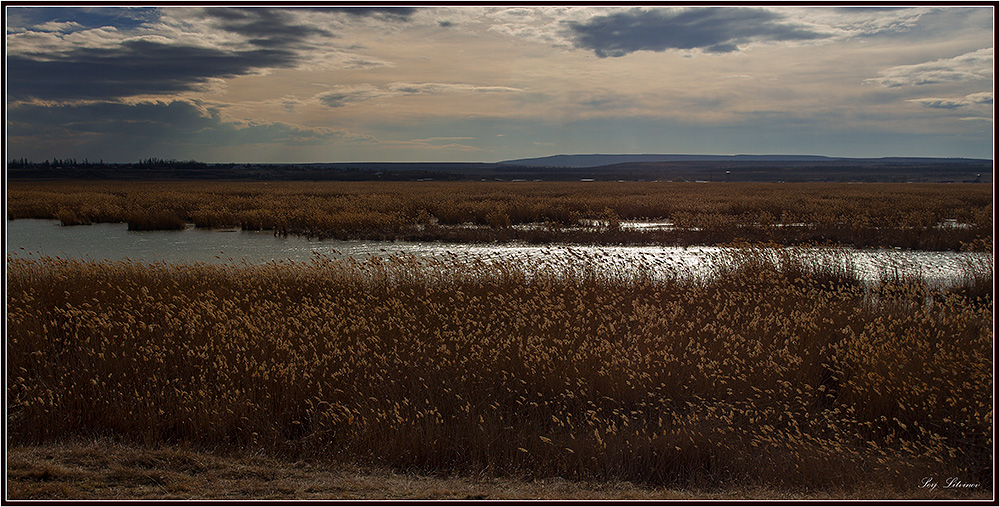 photo "***" tags: landscape, spring, sunset, water