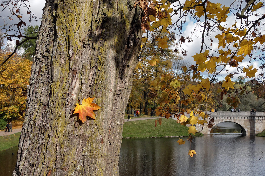 photo "***" tags: landscape, genre, autumn, reflections, красиво