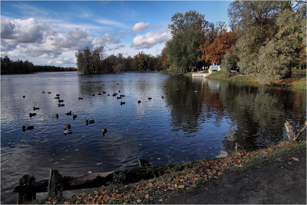 photo "***" tags: landscape, autumn, дорожка