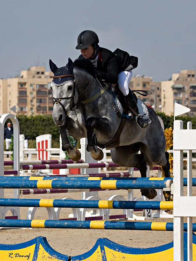 photo "show jumping 01" tags: sport, genre, 