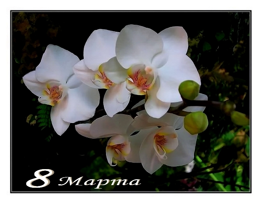 photo "***" tags: , 