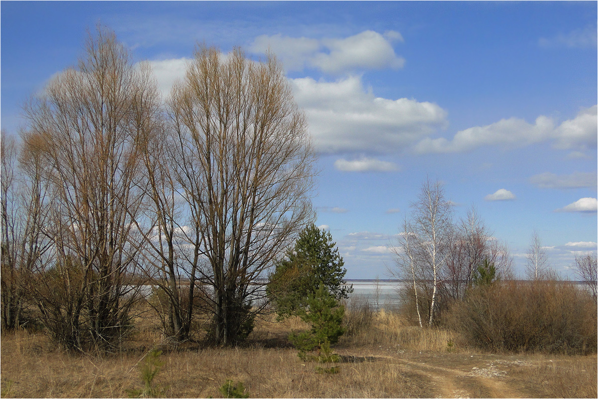 photo "***" tags: landscape, grass, river, spring, water