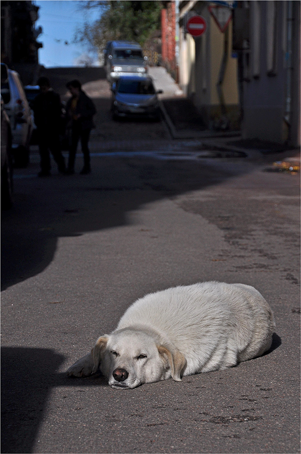 photo "***" tags: street, 
