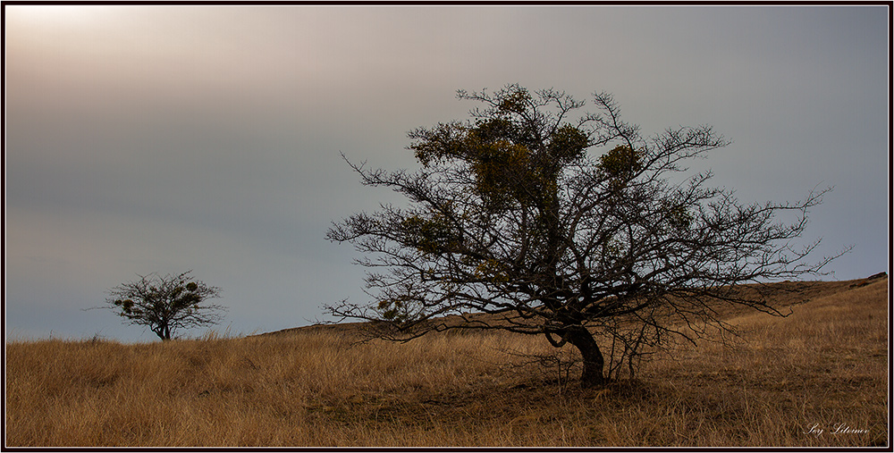 photo "***" tags: landscape, spring, sunset