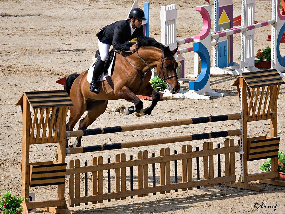 фото "show jumping 02" метки: спорт, жанр, Show jumping