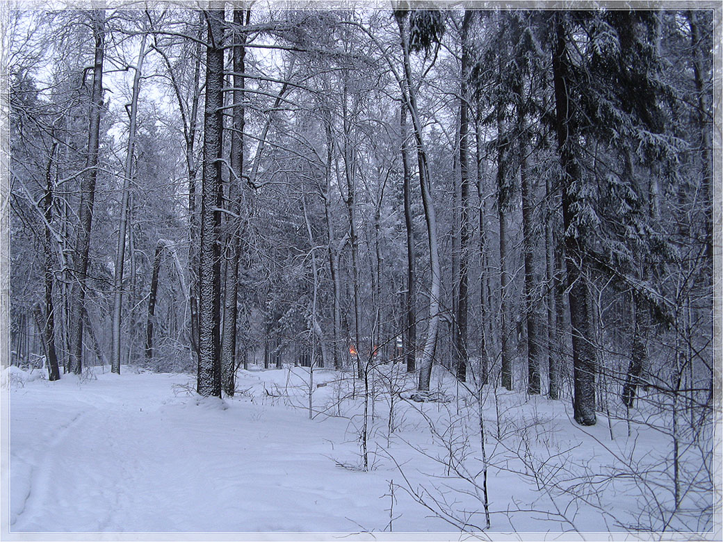 photo "***" tags: landscape, evening, winter, заснеженность