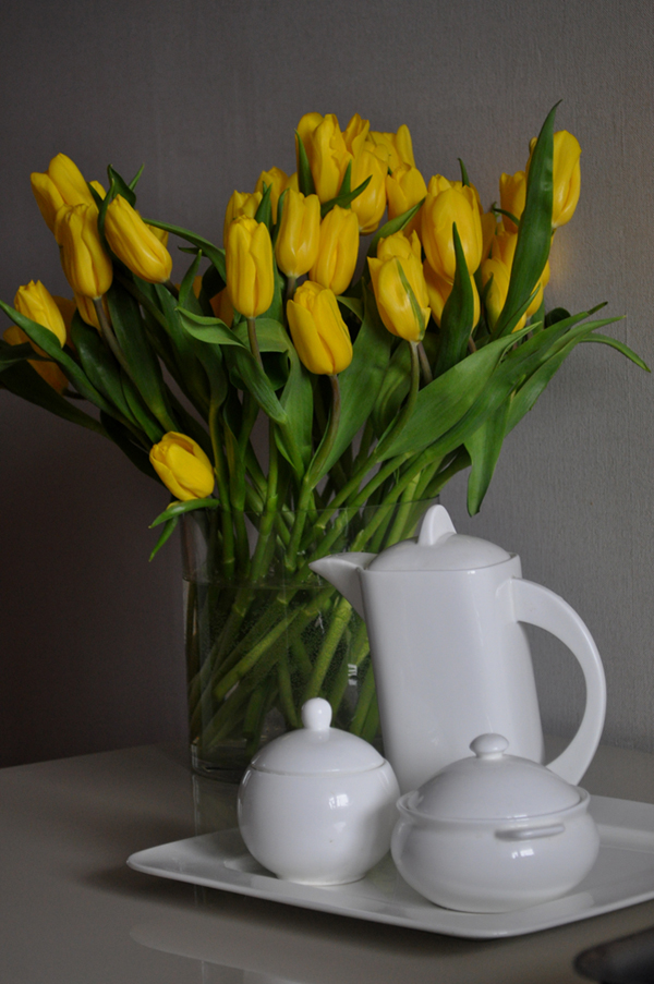 photo "***" tags: still life, misc., nature, flowers