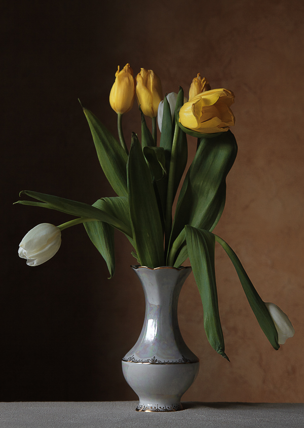 Почему не распускаются тюльпаны в вазе