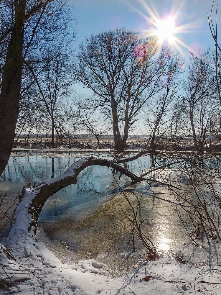 photo "March. The beginning of spring ..." tags: landscape, river, snow, spring, sun