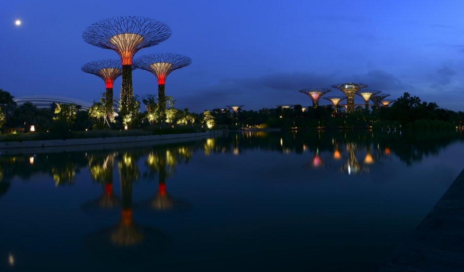 photo "Gardens at the Bay" tags: travel, architecture, landscape, Asia