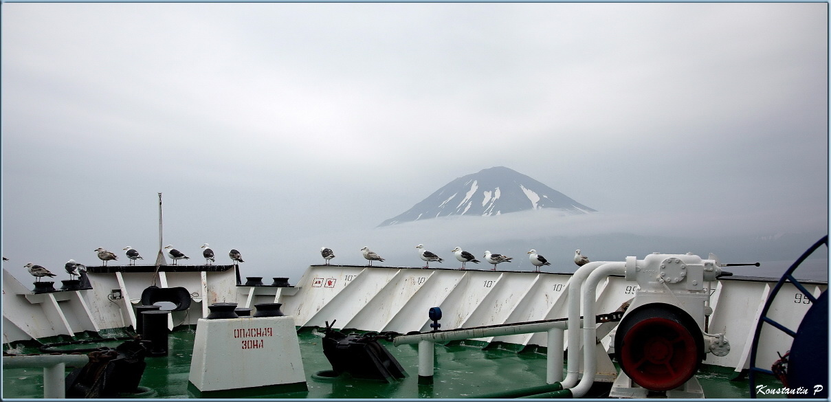 photo "***" tags: landscape, clouds, ocean, water, wild animals