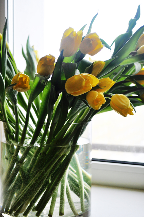 photo "***" tags: still life, misc., flowers
