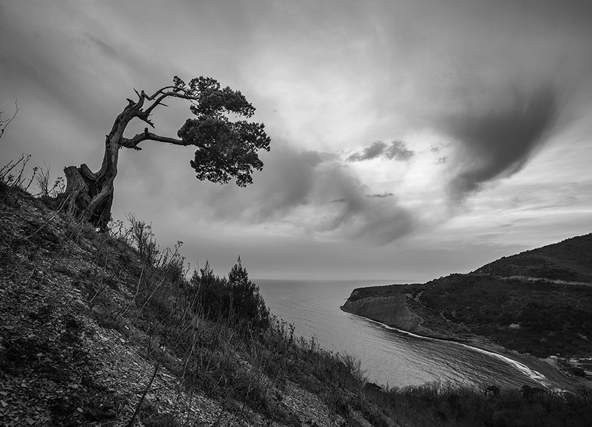 фото "Пасмурный день" метки: пейзаж, природа, 