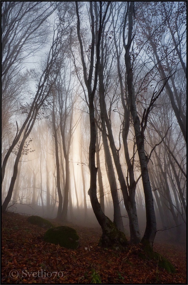 photo "***" tags: landscape, autumn