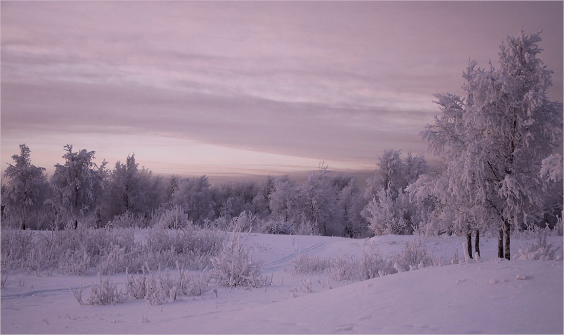 photo "***" tags: landscape, nature, 