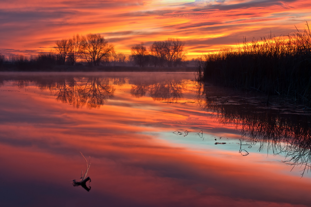 photo "***" tags: landscape, nature, 