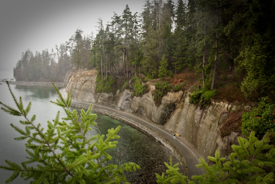 photo "Lonely Run" tags: landscape, nature, travel, North America, forest, man, spring