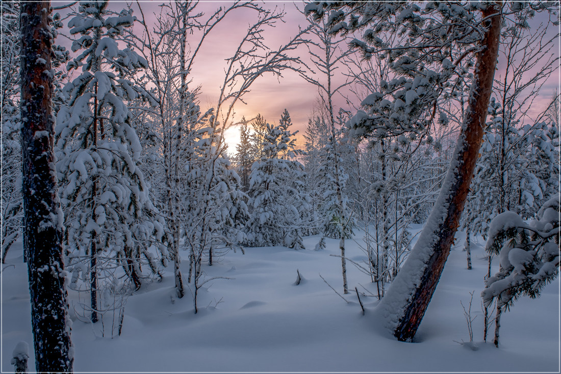 фото "***" метки: пейзаж, природа, зима, лес