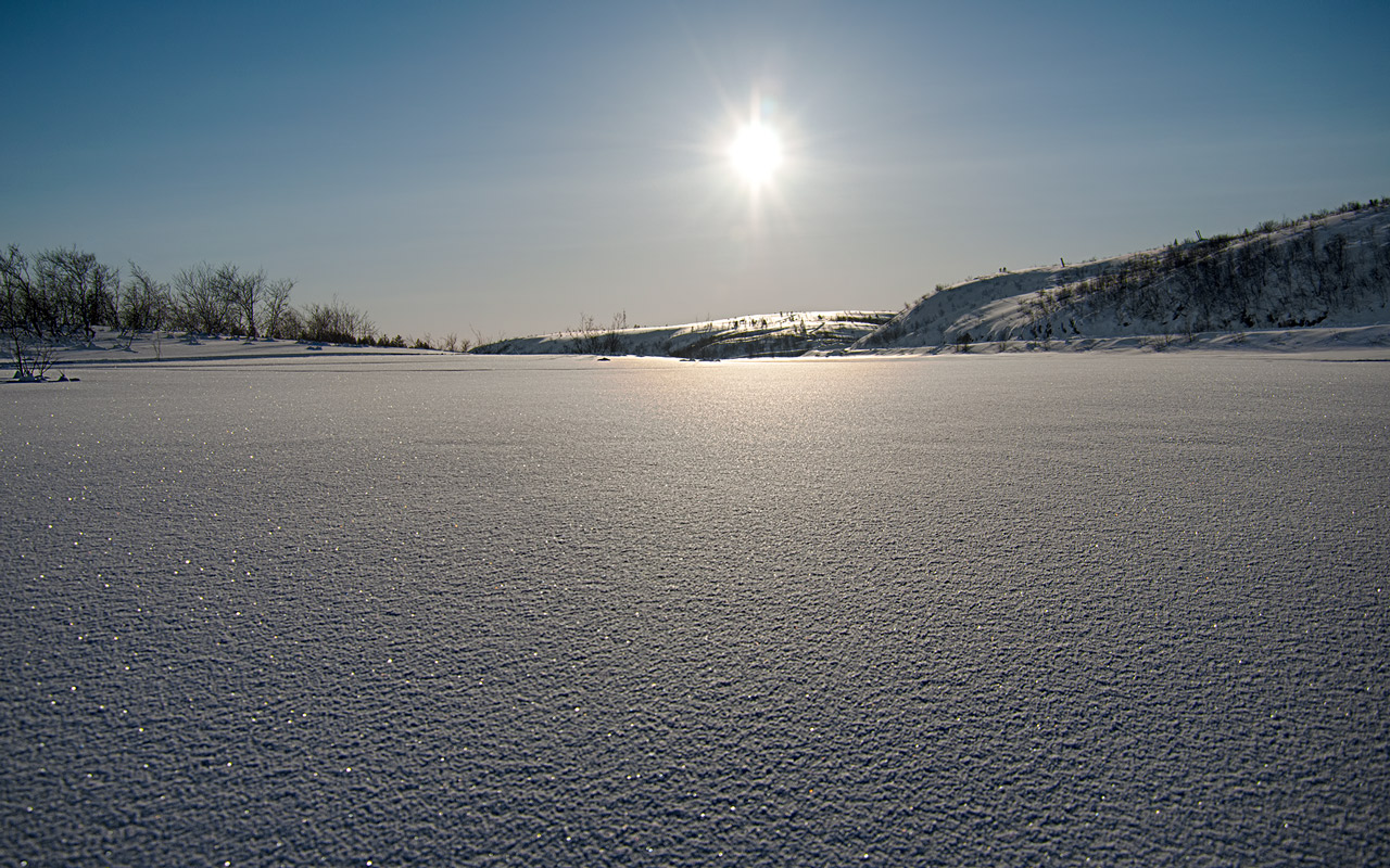 фото "Средь бескрайних снегов..." метки: природа, 