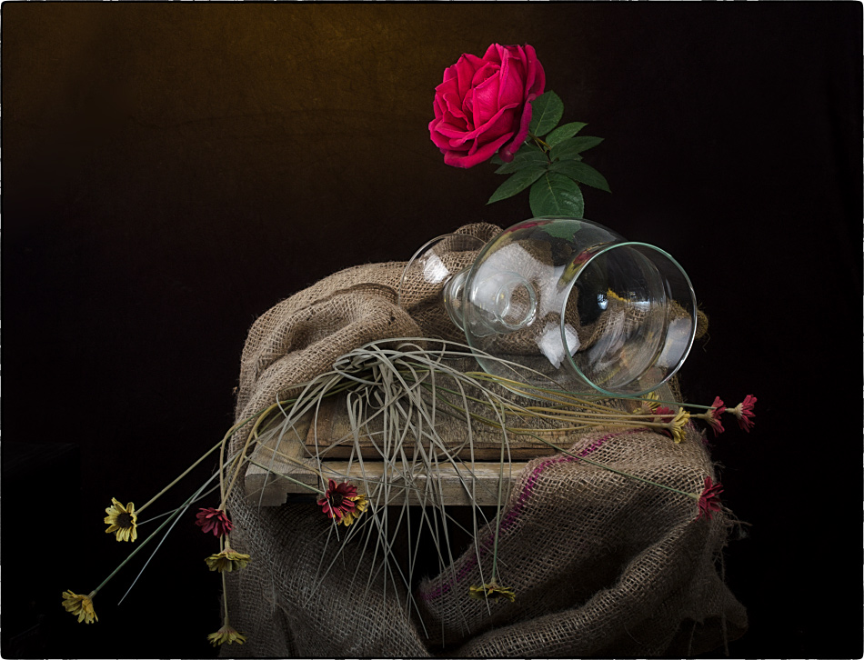 фото "С стеклянной вазой и цветами" метки: натюрморт, ретро, With a rose and a vase of glas, С стеклянной вазой и цветами