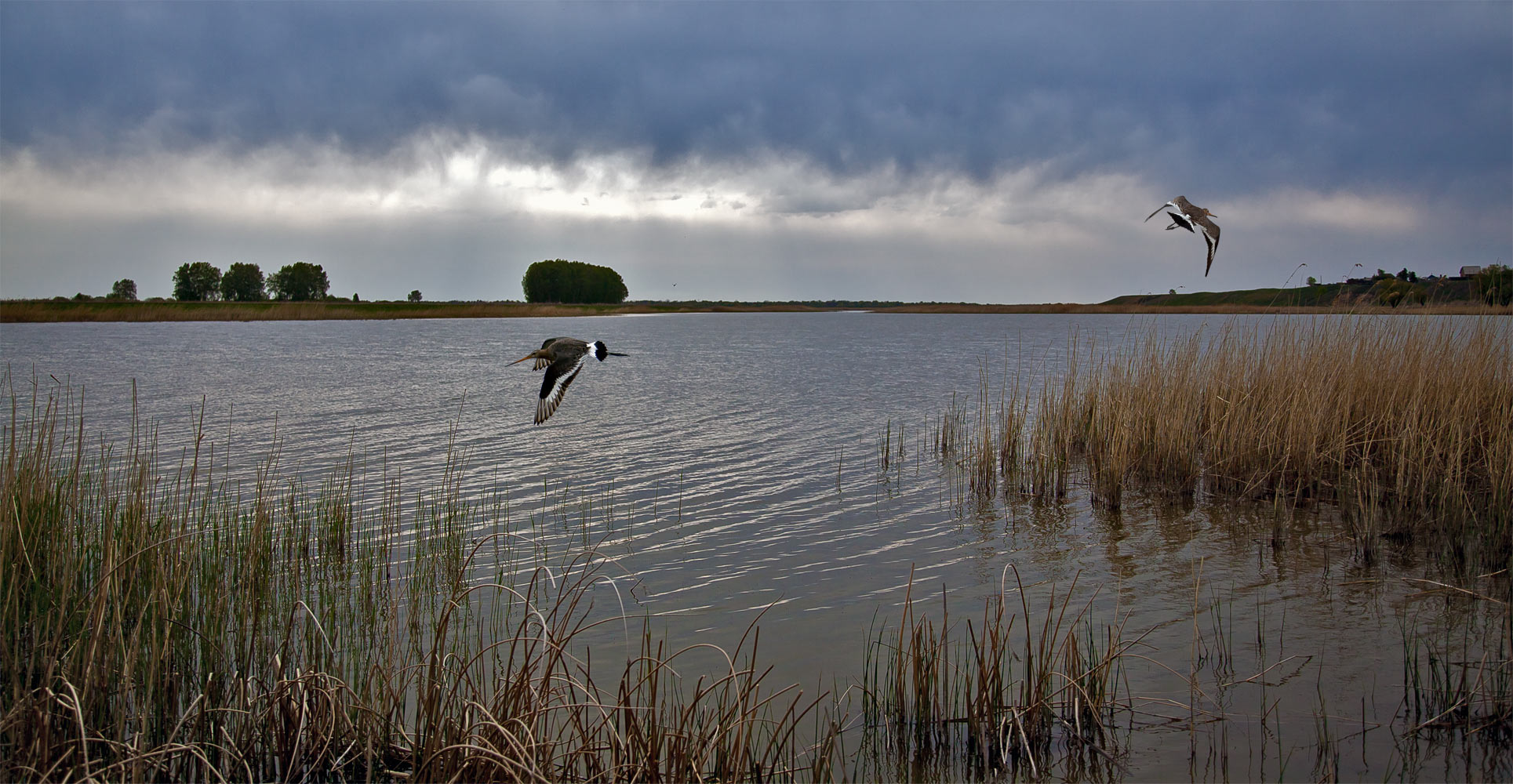 photo "***" tags: nature, landscape, 