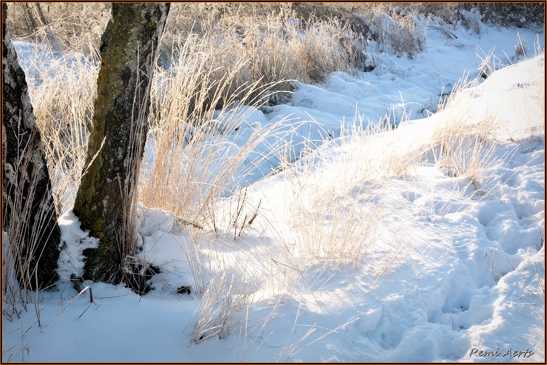 photo "***" tags: landscape, nature, winter