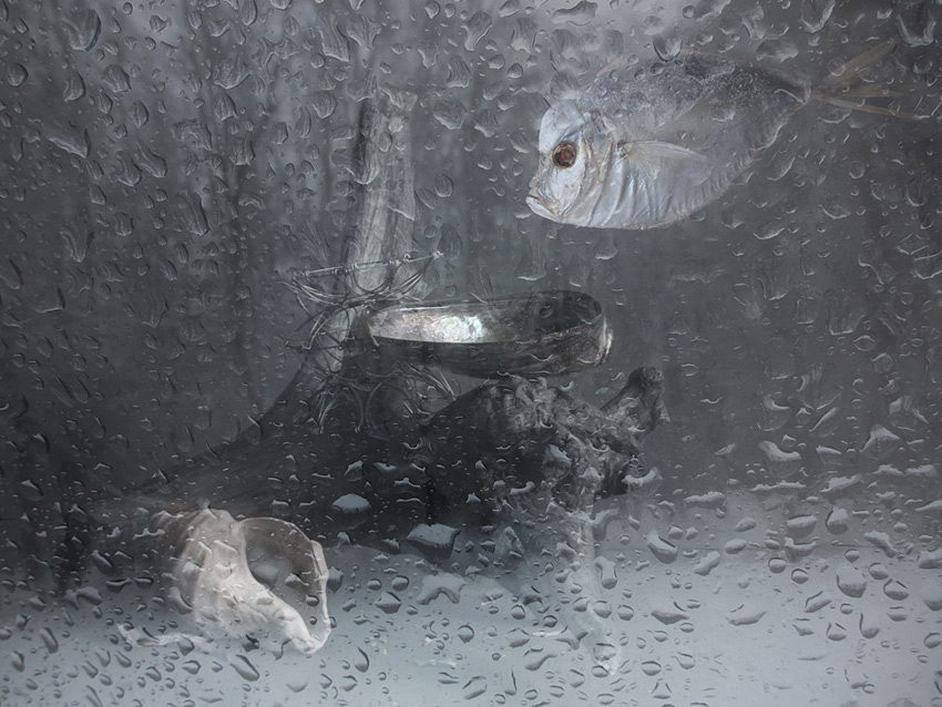 фото "О дождливой погоде" метки: натюрморт, 