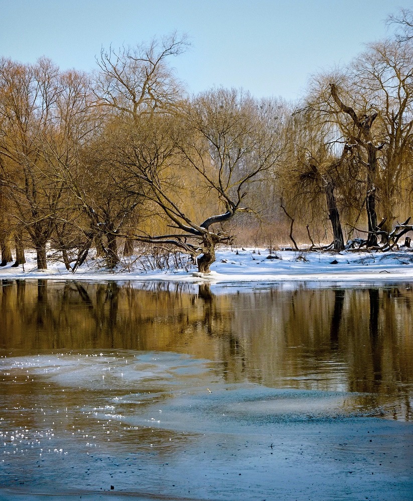 photo "March ..." tags: landscape, river, spring, water, март