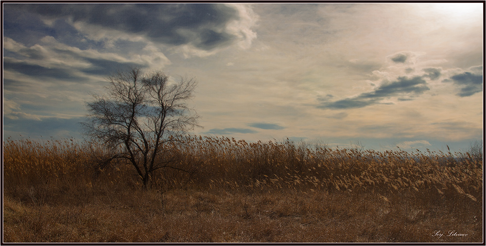 photo "***" tags: landscape, spring, sunset, water