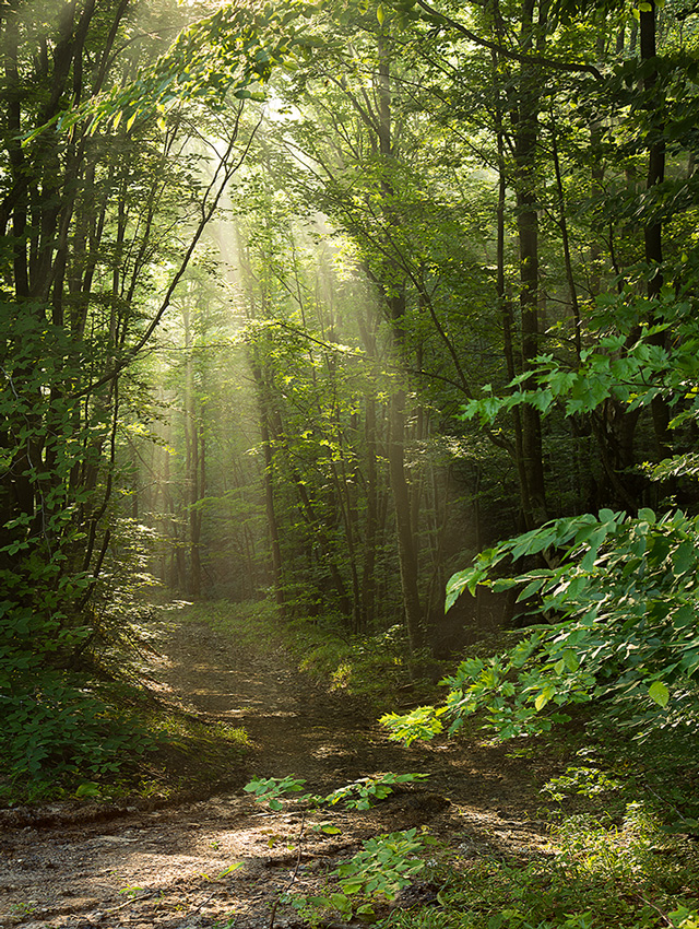 photo "Morning in Neberdjay" tags: nature, 7 ветров, Неберджай, Новороссийск, семь ветров