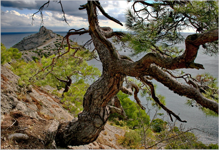 photo "***" tags: landscape, nature, travel, Crimea, mountains, sea, Новый свет.