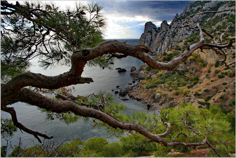 photo "***" tags: landscape, nature, travel, Crimea, mountains, sea, Новый свет.