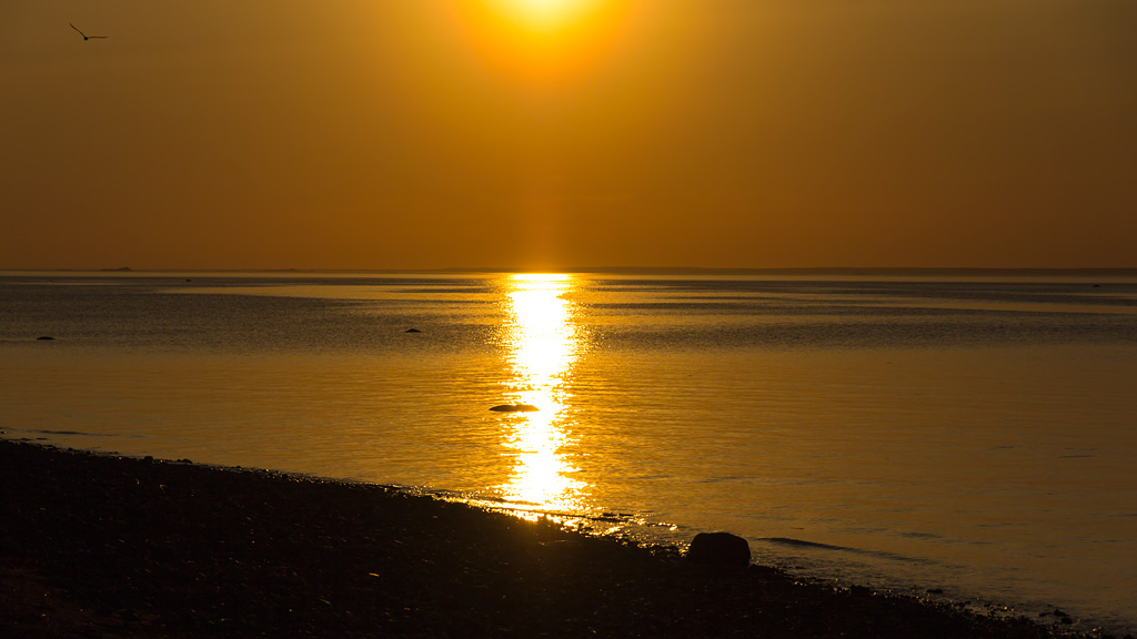 photo "Sunny lane" tags: landscape, evening, sea, sunset, water, Кронштадт