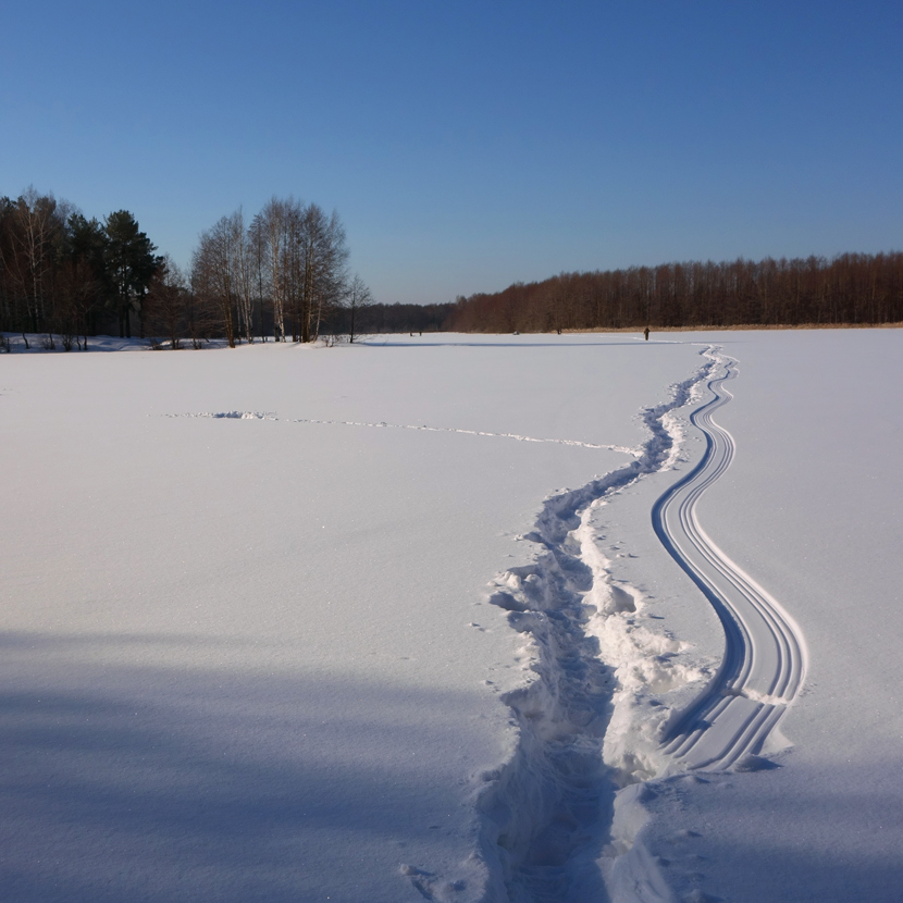 photo "***" tags: landscape, winter, следы оттепель снег