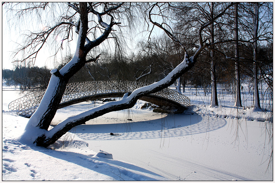 фото "***" метки: пейзаж, frost, park, parks, trees, Бухарест, зима, снег