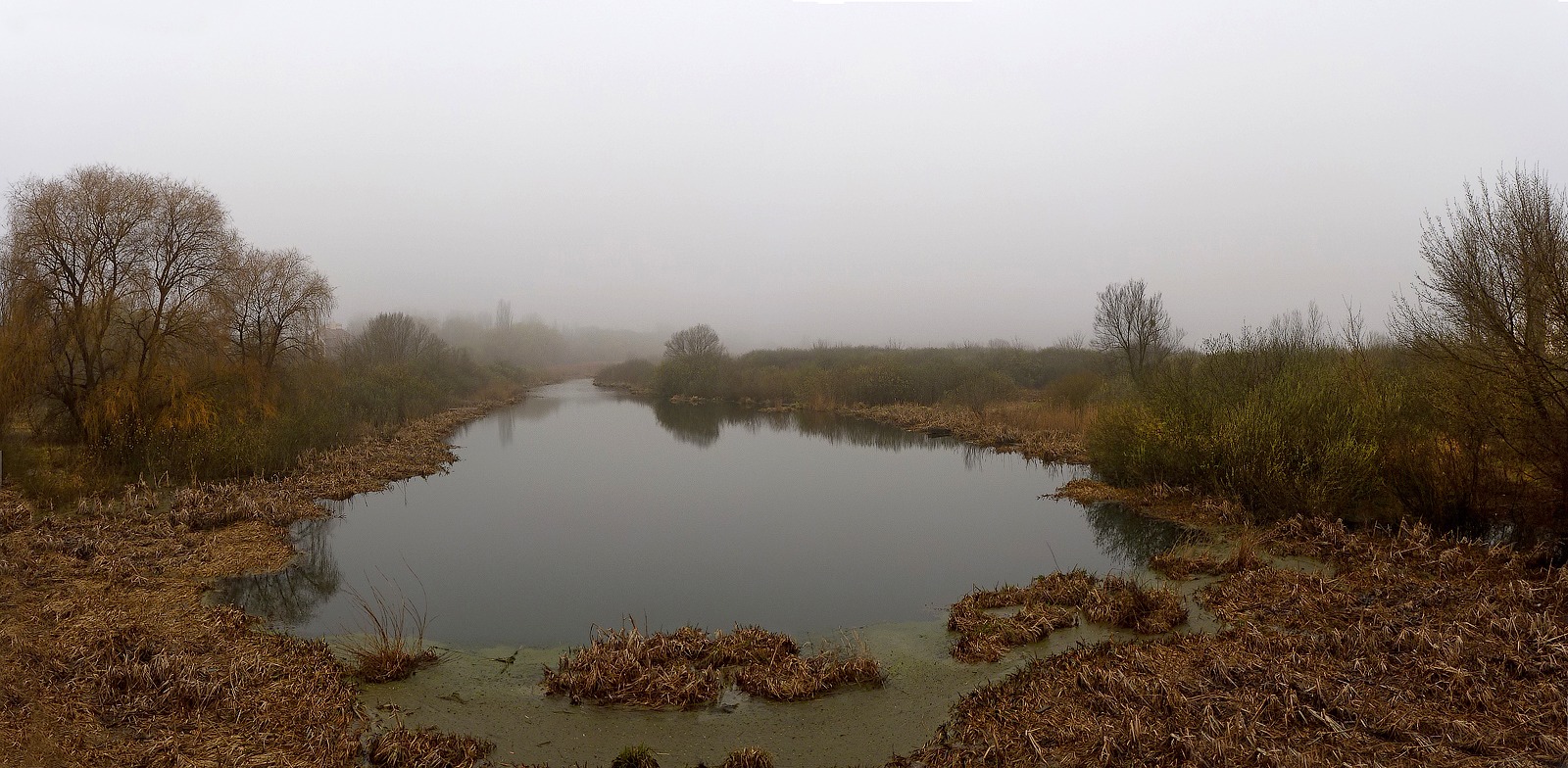 photo "Spring ... Bayou ... Morning ..." tags: landscape, morning, spring, старица