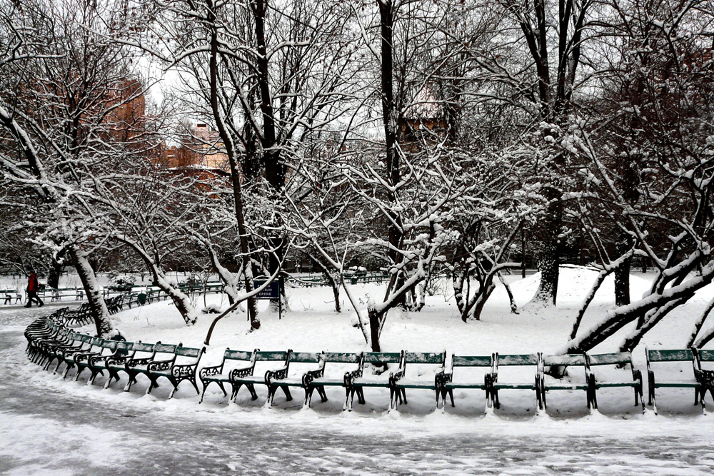 фото "***" метки: пейзаж, черно-белые, город, parks, Бухарест, зима, снег