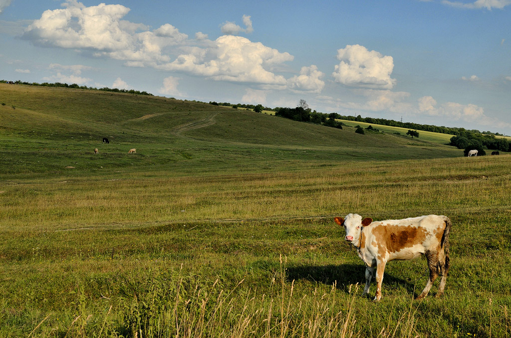 photo "***" tags: nature, landscape, travel, 