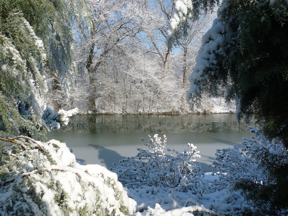 photo "***" tags: nature, winter
