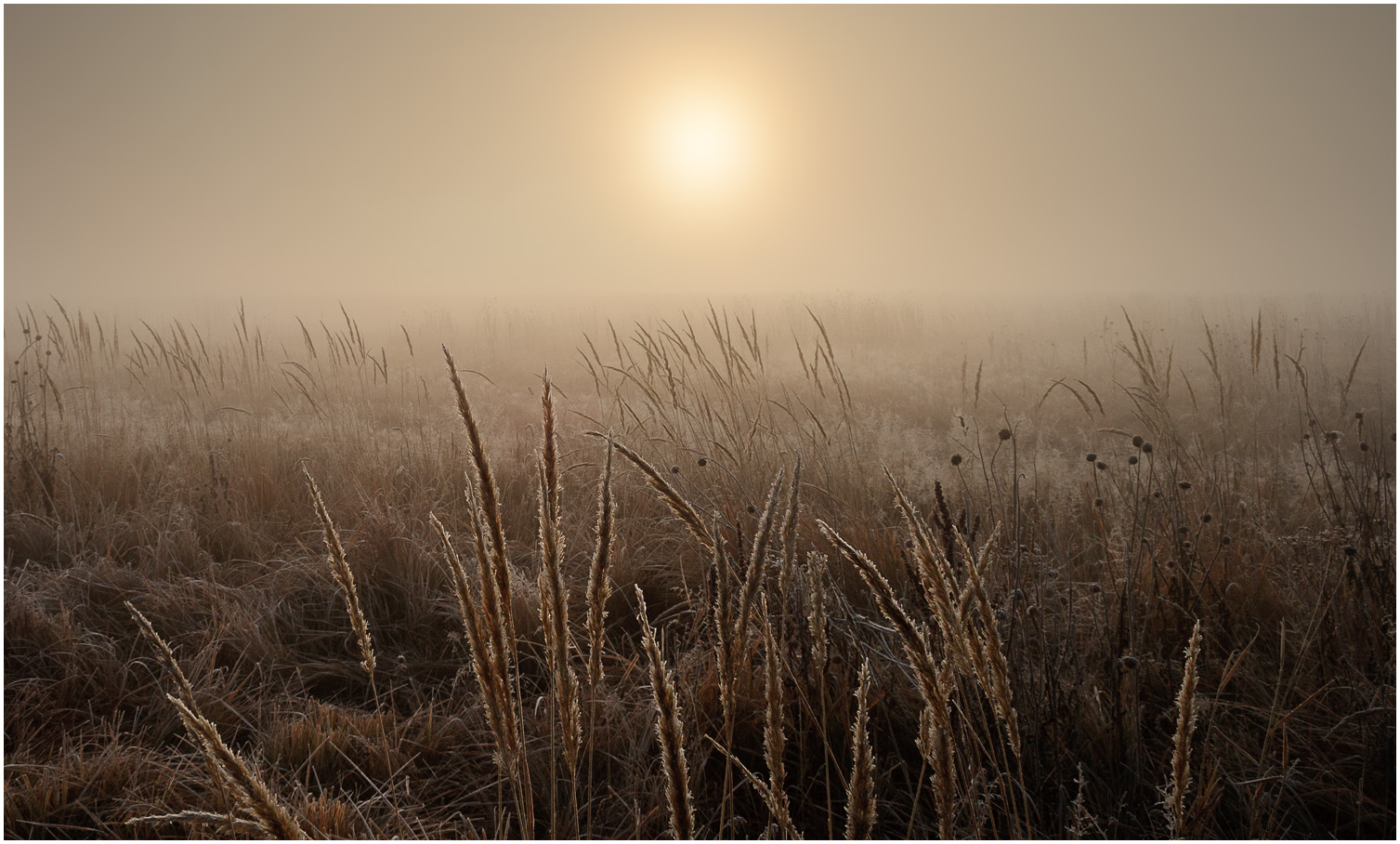 photo "***" tags: nature, landscape, 