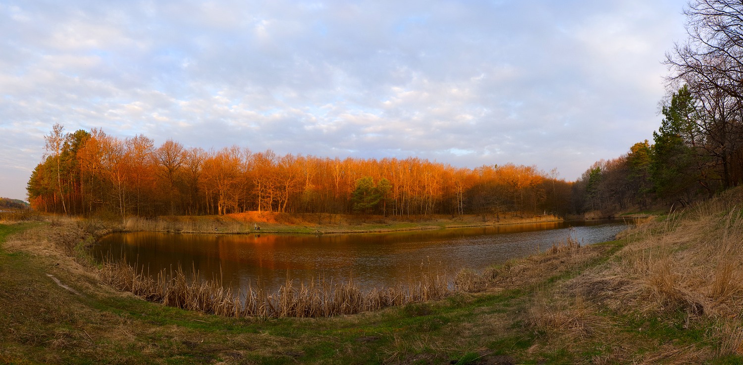 photo "Forest Lake ..." tags: landscape, panoramic, forest, lake, morning, spring