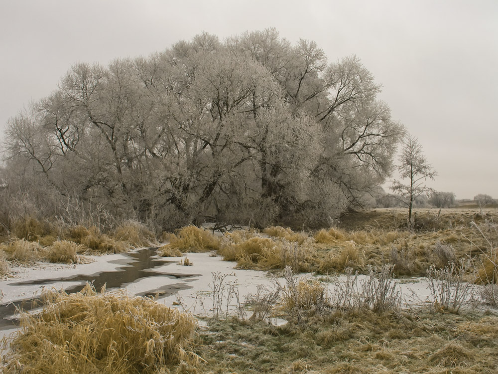 photo "***" tags: landscape, hoarfrost, river, winter, Беларусь, Птичь