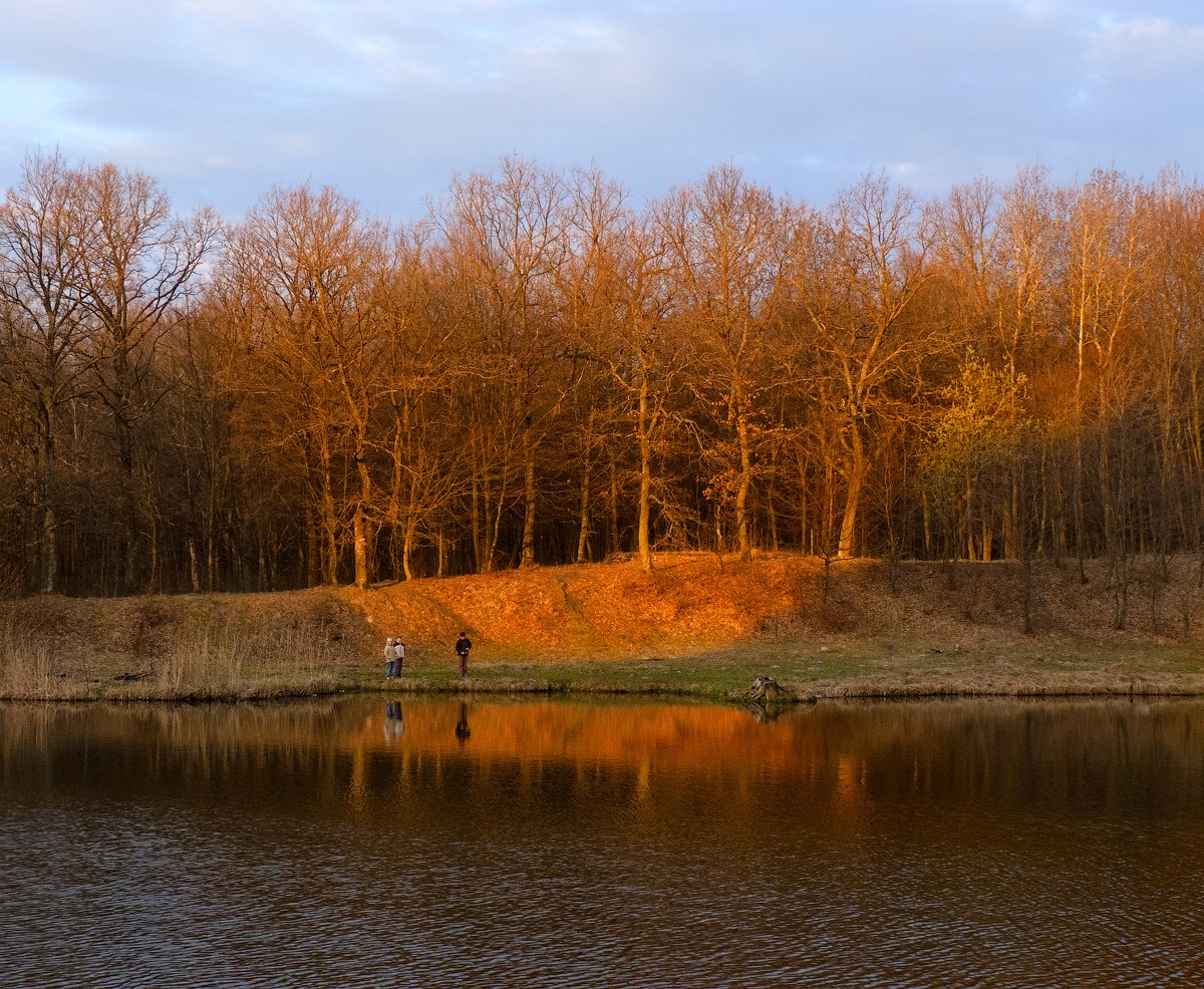 photo "About Fisher and fans ..." tags: landscape, children, forest, lake, morning