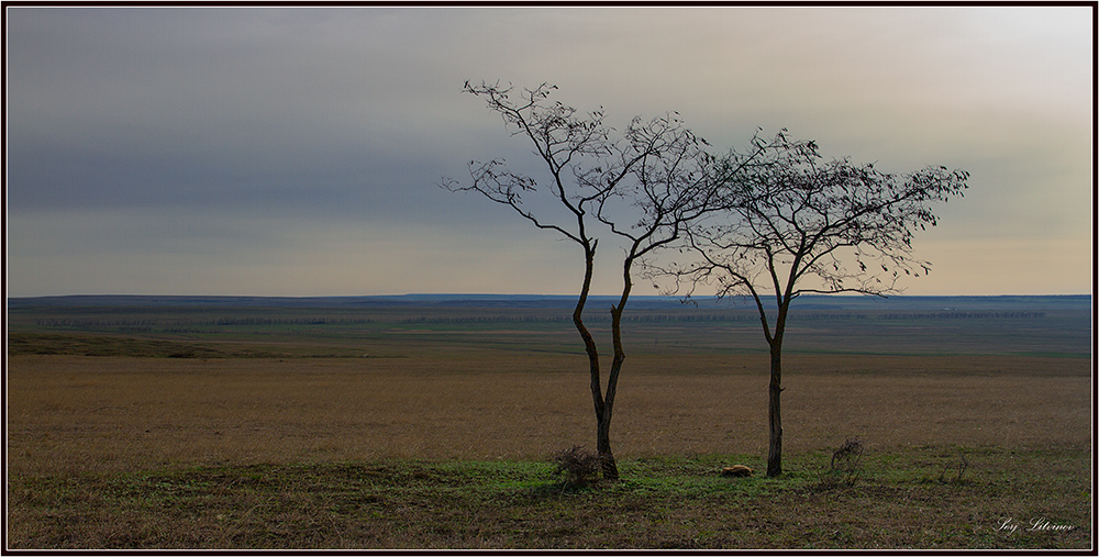 photo "***" tags: landscape, spring